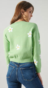 SET - Daisy Sweater & Top